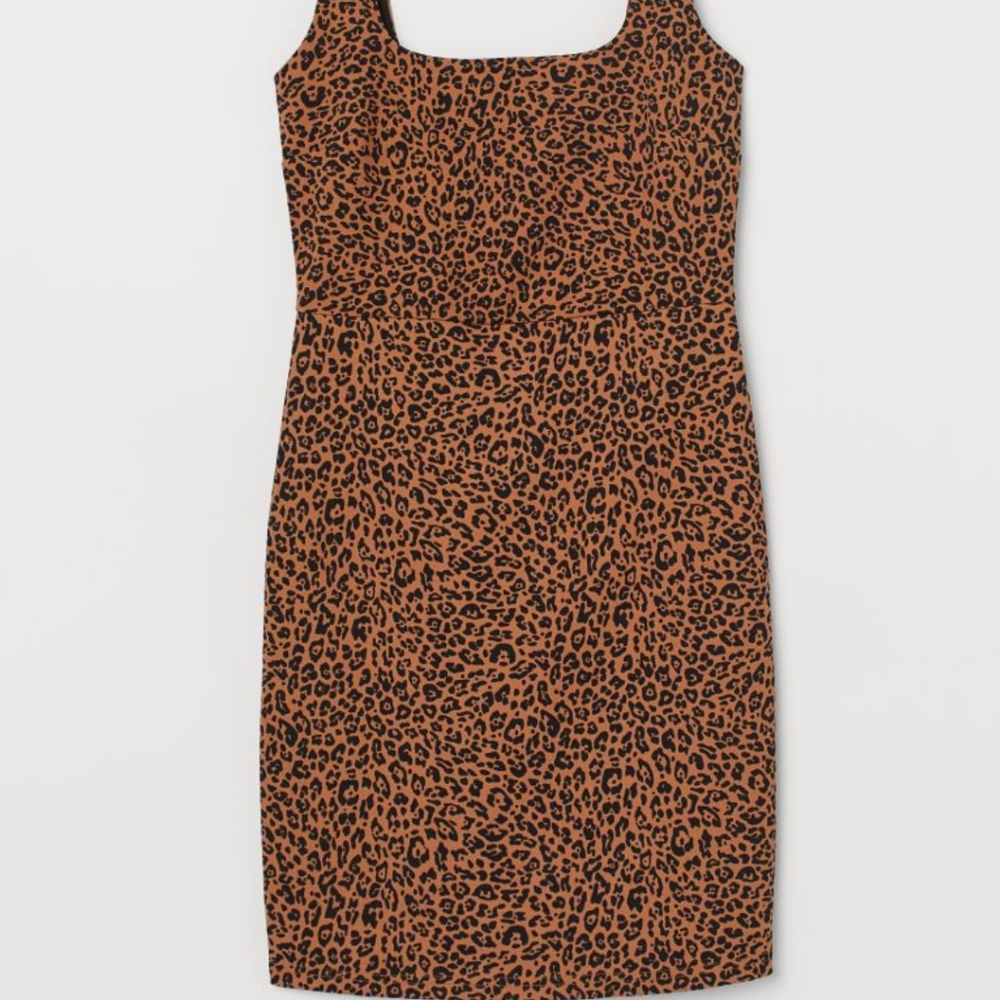 NWOT Leopard Print Dress